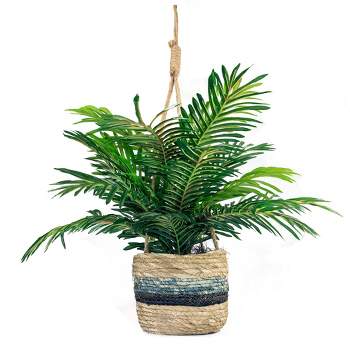 30" x 16" Artificial Phoenix Palm Plant in Hanging Basket - LCG Florals