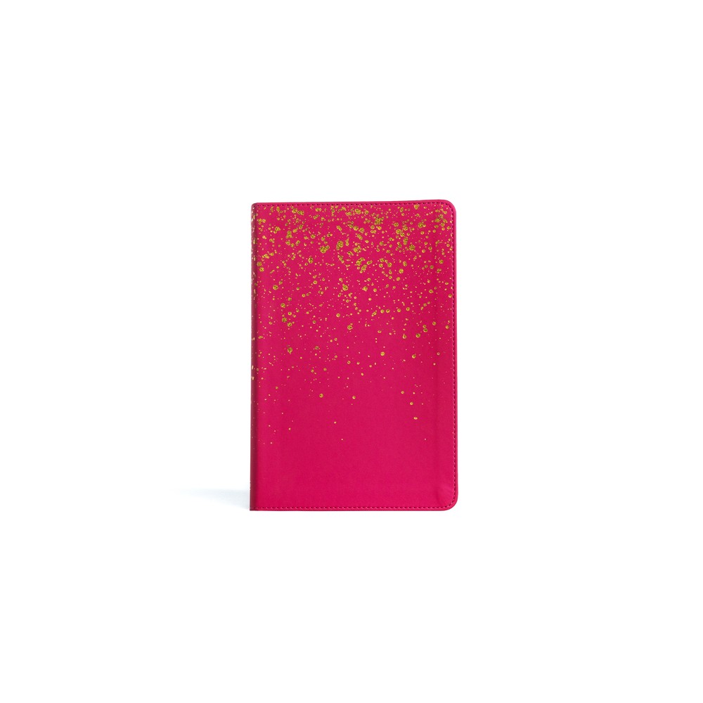KJV Kids Bible, Pink Leathertouch - by Holman Bible Publishers (Leather Bound)