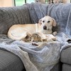Arlee Home & Pet Waterproof Soft Plush Reversible Furniture Protector Dog and Cat Blanket - 60" x 70" - Gray - 3 of 4