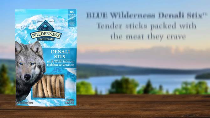 Blue Buffalo Wilderness Trail Treats High Protein Grain-Free Crunchy Dog Treats Biscuits Salmon Recipe, 2 of 7, play video