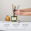 Craft & Kin Reed Diffuser Set With Flower For Home - 4 of 4
