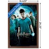 Trends International Harry Potter and the Order of Phoenix (French) Framed Wall Poster Prints - 3 of 4