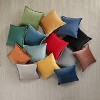 Velvet Flange Throw Pillow - Pillow Perfect - image 4 of 4