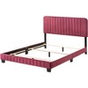 Passion Furniture Lodi Velvet UpholsteChannel Tufted Queen Panel Bed - 3 of 4