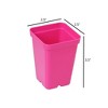 SUNPACK 2.5" Square Seedling Pots for Indoor Gardening, Mixed Colors (Pack of 6) - 3 of 3