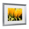 Trademark Fine Art - Mick Agterberg Close Up Details Of A Helianthus Matted Framed Art - 3 of 4