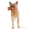 BARK Howly Jowly Holidays Merry Candy Cane-deer Plush Dog Toy - 4 of 4