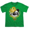 Boys' Short Sleeve Kung Fu Panda Drago Po T-Shirt - 2 of 4