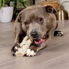 Pet Factory Made in USA Beefhide Braided Sticks - 4 of 4