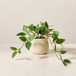 7" Mini Faux Peperomia Plant - Hearth & Hand™ with Magnolia