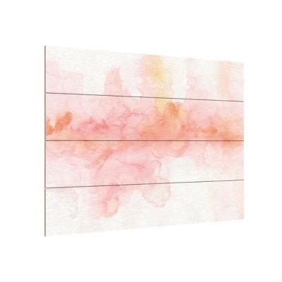 Trademark Fine Art -Lisa Audit 'Rainbow Seeds Abstract' Wood Slat Art