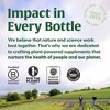 MegaFood Blood Builder - Iron Supplement To Increase Iron Levels w/o Side Effects - for Women w/ Vitamin C, Vitamin B12 & Folic Acid, Vegan, 90 Tabs. - 2 of 4
