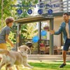 Interactive Dog Toys Ball, Smart Action Activated Rechargeable Pet Toy, TPU Material, IPX7 Waterproof Rating, Automatic Rotating/Bouncing/Moving - 3 of 4