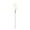 Melrose Astilbe Stem (Set of 6) - 2 of 3