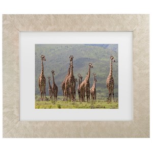 Trademark Fine Art - Bee Thalin Giraffe Family Matted Framed Art - 1 of 4