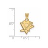 Black Bow Jewelry 14k Yellow Gold Pittsburgh Penguins NHL Small Pendant - 2 of 3