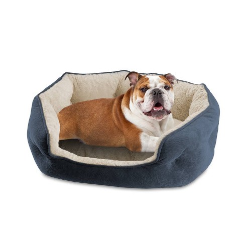 Canine cooler deals dog bed