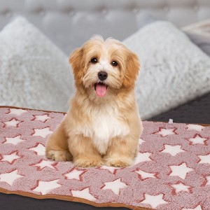 Unique Bargains Medium Soft Fluffy Flannel Star Printed Pet Throw Blanket Scratch Proof Pet Furniture Protector Cover - 1 of 4