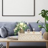 Aoibox Macrame Storage Basket Set of 2 Boho Woven Decorative Bins for Organizing Countertop Toilet Paper Tank Top Home Decor Bedroom Nursery - 4 of 4