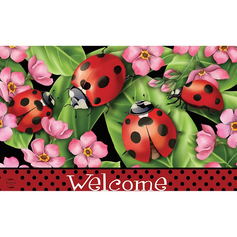Ladybugs on Leaves Spring Doormat Welcome Indoor Outdoor 30" x 18" Briarwood Lane, 1 of 5