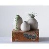 Storied Home Round Stoneware Vases with Polka Dot Finish, White and Black, Set of 3 - 3 of 4