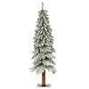 4ft Haute Decor Pre-Lit LED Lightly Flocked Alpine Artificial Christmas Tree White Lights - 2 of 3