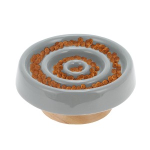 Unique Bargains Slow Feeder Dog Bowls 1 Pc - 1 of 4