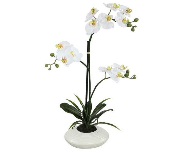 Artificial Orchid  (25") White - Vickerman