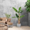 Costway 1/2 PCS 5.5 FT Tall Artificial Banana Tree with 10 Large Leaves Double Stalks Natural Bark - 4 of 4