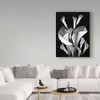 Trademark Fine Art - Susan S. Barmon 'White Calla 2 Black And White' C - 3 of 3
