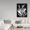 Trademark Fine Art - Susan S. Barmon 'White Calla 2 Black And White' C - image 3 of 3