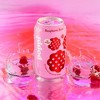 Poppi Raspberry Rose Prebiotic Soda - 12 fl oz Can - image 4 of 4