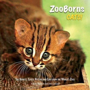 ZooBorns Cats! - (Zooborns) by  Andrew Bleiman & Chris Eastland (Paperback) - 1 of 1