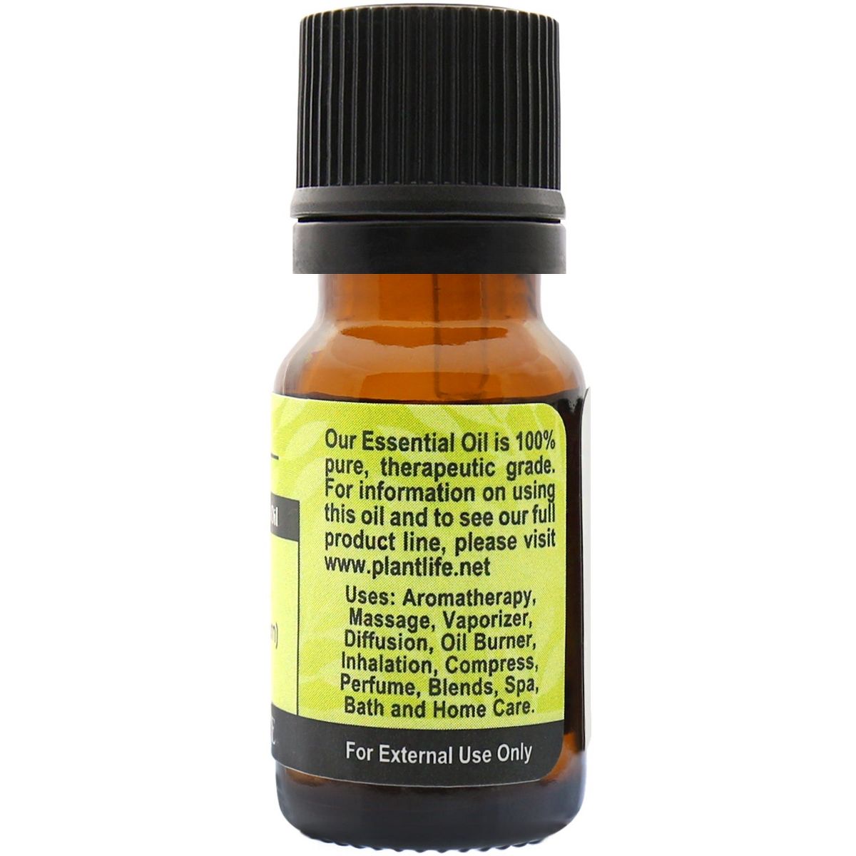 Plantlife Basil Essential Oil – 100% Pure & Therapeutic Grade – Natural, Undiluted & Steam-Distilled – No Additives or Fillers – Aromatherapy – 10ml - thumbnail 2
