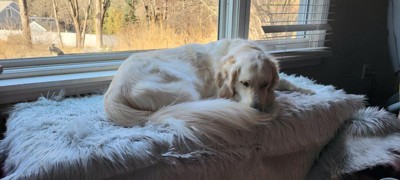 Guest review image 2 of 5, zoom in