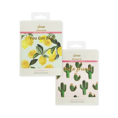 2pk 20ct Hello Friend and You Got This (Prickly Pear and Lemon) Cards