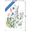 Trends International Botanical Collection - Wild Flowers Unframed Wall Poster Prints - 3 of 4