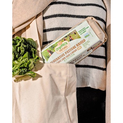 OrgaNICK Pastures Pasture-Raised Organic Brown Eggs - 124oz/2ct