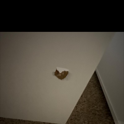 Guest review image 3 of 5, zoom in