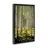 Stupell Industries Small And Tall Birch Forest Floating Frame Canvas Art - 2 of 4