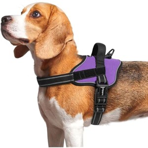 rabbitgoo Dog Harness Medium Sized, No Pull No Choke Pet Vest, Easy Wearing with One Buckle, Reflective, Training, Purple, M - 1 of 1