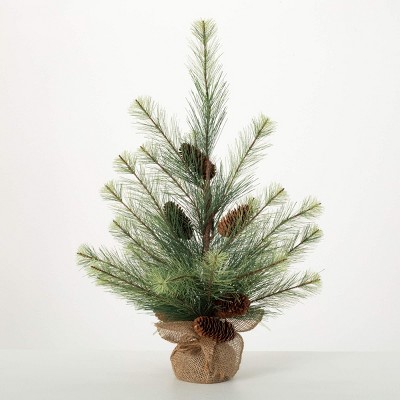 2.5' Sullivans Tabletop Black Hills Pine Tree, Green