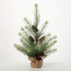 2.5' Sullivans Tabletop Black Hills Pine Tree, Green - 1 of 3