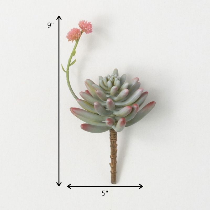 Sullivans Artificial Succulent With Flower Bloom 9"H Pink, 3 of 4