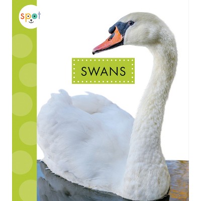 Swans - (Spot Big Birds) by  Lisa Amstutz (Paperback)