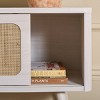 Cielle 2 Door Media Stand - MED9628 - Safavieh - 2 of 4