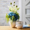 Sullivans Bisque Ceramic Handled Ceramic Urn Set of 2, 9"H & 6"H White - 4 of 4