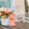 Nevlers Ceramic Salt Inhaler with 6 Oz of Natural Himalayan Pink Salt - 4 of 4