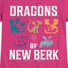 Girls' - How to Train Your Dragon - Dragons Of New Berk Fitted Short Sleeve Graphic T-Shirt - 2 of 4