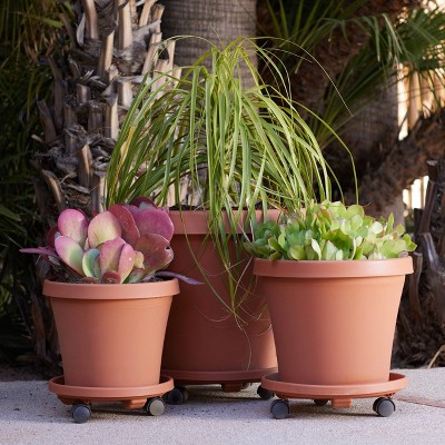 Terra Cotta Round Plant Caddy with Wheels, 14-inch